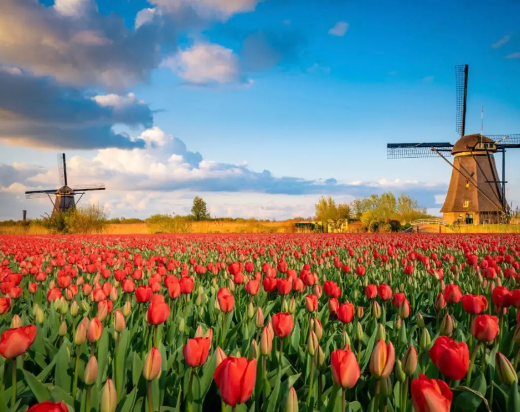 Best places to visit in Holland