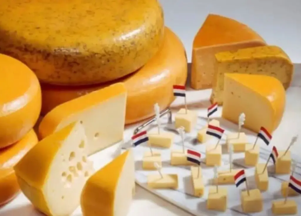 Dutch cheese crossword clue