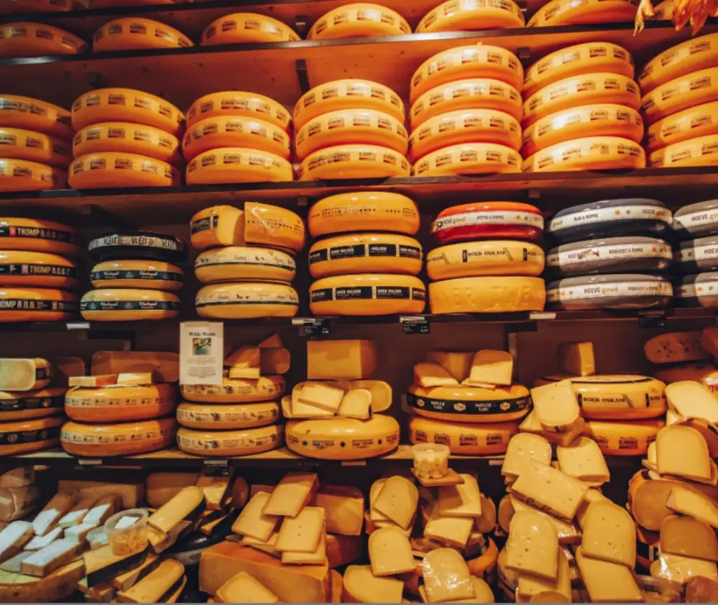 Dutch tradition Gouda cheese