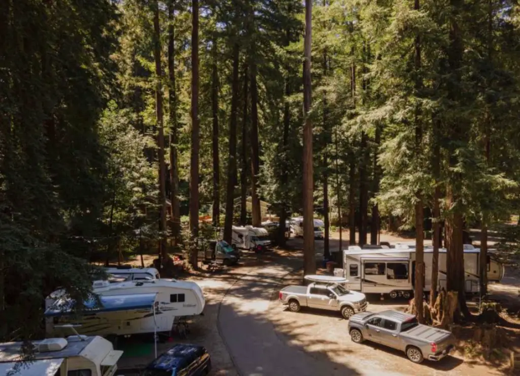 Where to stay near avenue of the giants