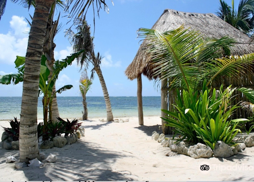 Best beach in costa maya